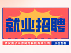 【就业招聘】武汉梨子手游网络科技有限公司·武汉新华就业招聘信息